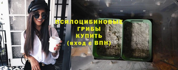 спайс Алзамай