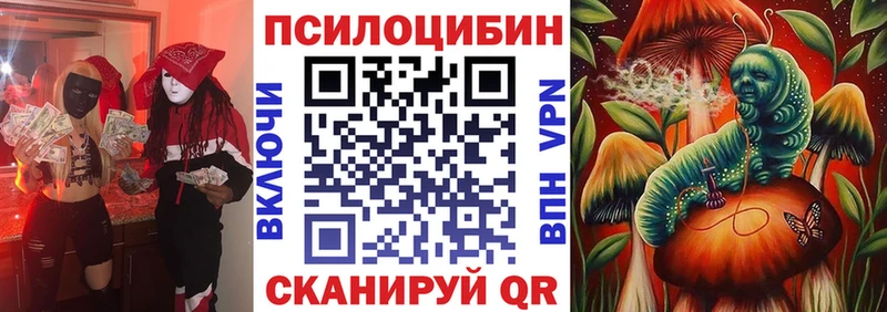Псилоцибиновые грибы Psilocybine cubensis  Цоци-Юрт 
