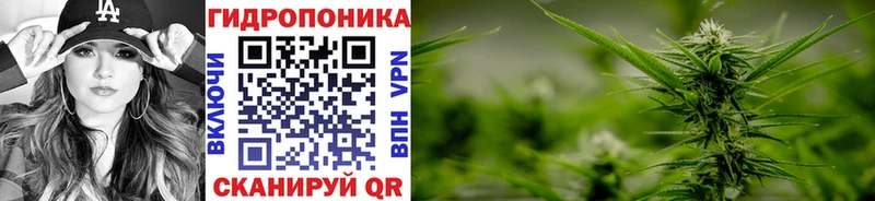 Шишки марихуана White Widow  Цоци-Юрт 